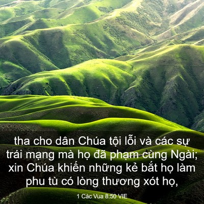 Picture 03 - 1 Các Vua 8:50 VIE - tha cho dân Chúa tội lỗi và các sự - Bible Verse Picture