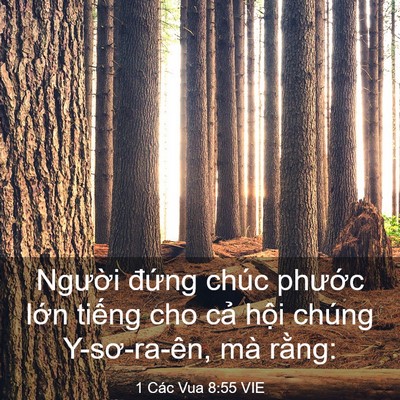 Picture 03 - 1 Các Vua 8:55 VIE - Người đứng chúc phước lớn tiếng cho - Bible Verse Picture