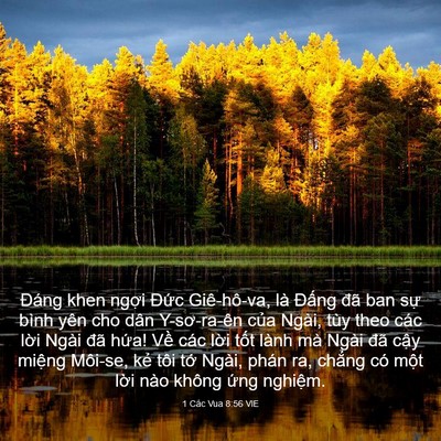 Picture 03 - 1 Các Vua 8:56 VIE - Đáng khen ngợi Đức Giê-hô-va, là - Bible Verse Picture