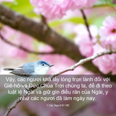 Picture 03 - 1 Các Vua 8:61 VIE - Vậy, các ngươi khá lấy lòng trọn lành - Bible Verse Picture