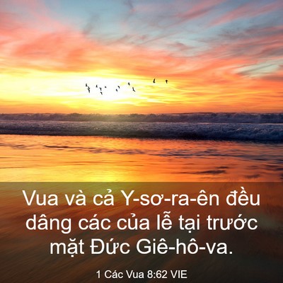 Picture 03 - 1 Các Vua 8:62 VIE - Vua và cả Y-sơ-ra-ên đều dâng các của - Bible Verse Picture