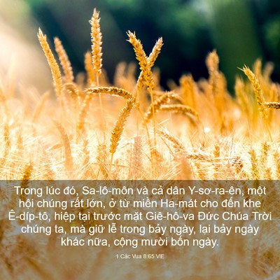 Picture 03 - 1 Các Vua 8:65 VIE - Trong lúc đó, Sa-lô-môn và cả dân - Bible Verse Picture