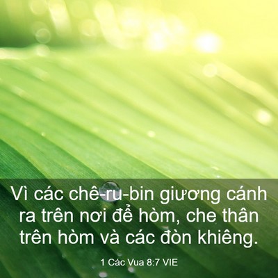 Picture 03 - 1 Các Vua 8:7 VIE - Vì các chê-ru-bin giương cánh ra trên nơi - Bible Verse Picture