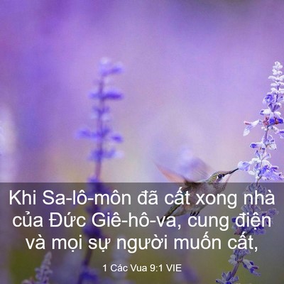 Picture 03 - 1 Các Vua 9:1 VIE - Khi Sa-lô-môn đã cất xong nhà của Đức - Bible Verse Picture