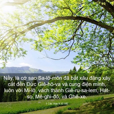 Picture 03 - 1 Các Vua 9:15 VIE - Nầy, là cớ sao Sa-lô-môn đã bắt xâu - Bible Verse Picture