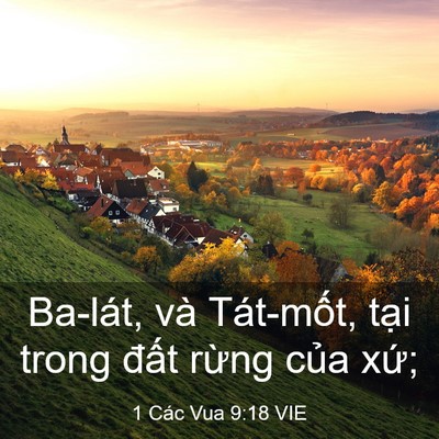 Picture 03 - 1 Các Vua 9:18 VIE - Ba-lát, và Tát-mốt, tại trong đất - Bible Verse Picture
