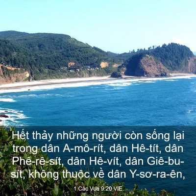 Picture 03 - 1 Các Vua 9:20 VIE - Hết thảy những người còn sống lại - Bible Verse Picture