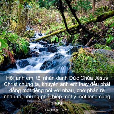 Picture 03 - 1 Cô-rinh-tô 1:10 VIE - Hỡi anh em, tôi nhân danh Đức Chúa Jêsus - Bible Verse Picture