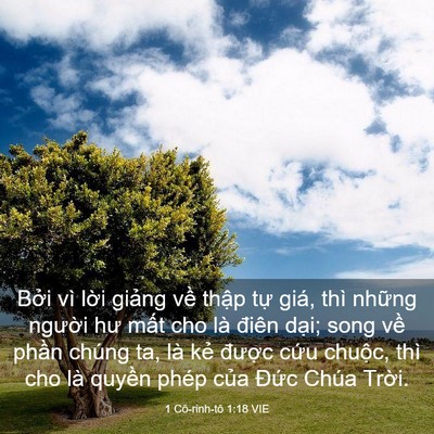 Picture 03 - 1 Cô-rinh-tô 1:18 VIE - Bởi vì lời giảng về thập tự giá, - Bible Verse Picture