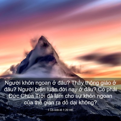 Picture 03 - 1 Cô-rinh-tô 1:20 VIE - Người khôn ngoan ở đâu? Thầy thông - Bible Verse Picture