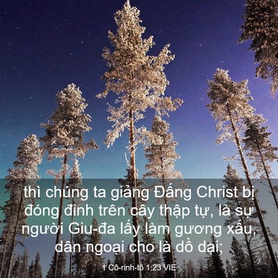 Picture 03 - 1 Cô-rinh-tô 1:23 VIE - thì chúng ta giảng Đấng Christ bị đóng - Bible Verse Picture