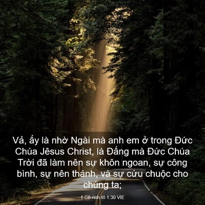 Picture 03 - 1 Cô-rinh-tô 1:30 VIE - Vả, ấy là nhờ Ngài mà anh em ở trong - Bible Verse Picture