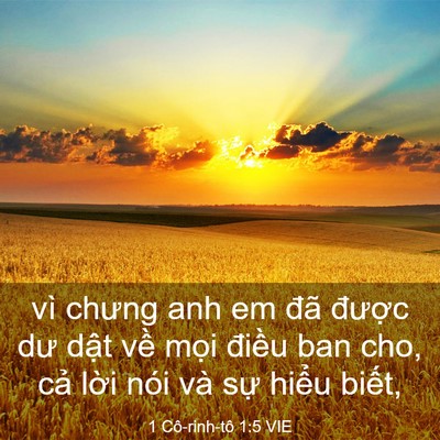 Picture 03 - 1 Cô-rinh-tô 1:5 VIE - vì chưng anh em đã được dư dật về - Bible Verse Picture