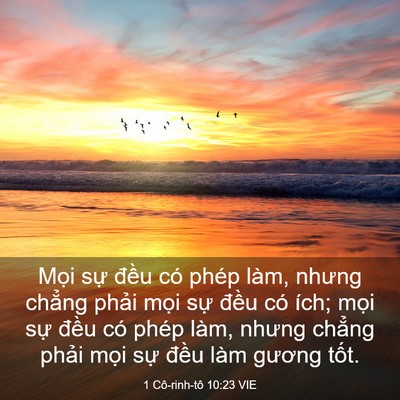 Picture 03 - 1 Cô-rinh-tô 10:23 VIE - Mọi sự đều có phép làm, nhưng chẳng - Bible Verse Picture