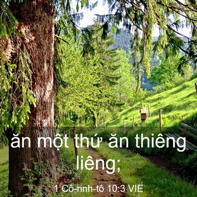 Picture 03 - 1 Cô-rinh-tô 10:3 VIE - ăn một thứ ăn thiêng - Bible Verse Picture