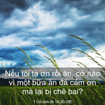 Picture 03 - 1 Cô-rinh-tô 10:30 VIE - Nếu tôi tạ ơn rồi ăn, cớ nào vì - Bible Verse Picture
