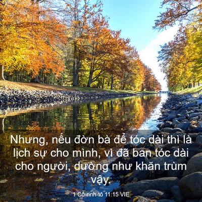 Picture 03 - 1 Cô-rinh-tô 11:15 VIE - Nhưng, nếu đờn bà để tóc dài thì là - Bible Verse Picture