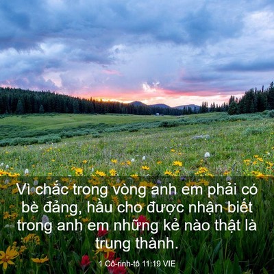 Picture 03 - 1 Cô-rinh-tô 11:19 VIE - Vì chắc trong vòng anh em phải có bè - Bible Verse Picture