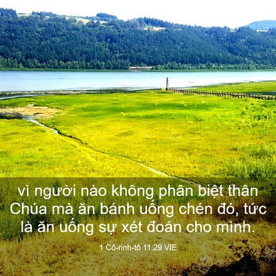 Picture 03 - 1 Cô-rinh-tô 11:29 VIE - vì người nào không phân biệt thân Chúa - Bible Verse Picture