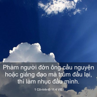 Picture 03 - 1 Cô-rinh-tô 11:4 VIE - Phàm người đờn ông cầu nguyện hoặc - Bible Verse Picture