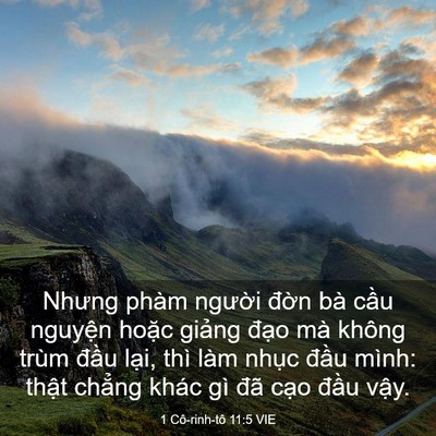 Picture 03 - 1 Cô-rinh-tô 11:5 VIE - Nhưng phàm người đờn bà cầu nguyện - Bible Verse Picture