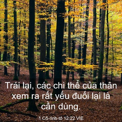 Picture 03 - 1 Cô-rinh-tô 12:22 VIE - Trái lại, các chi thể của thân xem ra - Bible Verse Picture