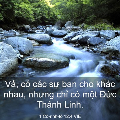 Picture 03 - 1 Cô-rinh-tô 12:4 VIE - Vả, có các sự ban cho khác nhau, nhưng - Bible Verse Picture