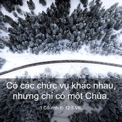 Picture 03 - 1 Cô-rinh-tô 12:5 VIE - Có các chức vụ khác nhau, nhưng chỉ có - Bible Verse Picture