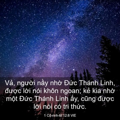 Picture 03 - 1 Cô-rinh-tô 12:8 VIE - Vả, người nầy nhờ Đức Thánh Linh, - Bible Verse Picture