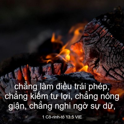 Picture 03 - 1 Cô-rinh-tô 13:5 VIE - chẳng làm điều trái phép, chẳng kiếm - Bible Verse Picture