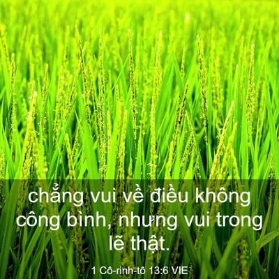 Picture 03 - 1 Cô-rinh-tô 13:6 VIE - chẳng vui về điều không công bình, - Bible Verse Picture