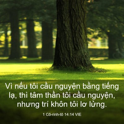 Picture 03 - 1 Cô-rinh-tô 14:14 VIE - Vì nếu tôi cầu nguyện bằng tiếng - Bible Verse Picture