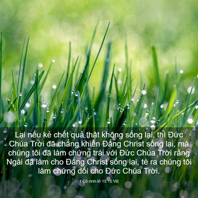 Picture 03 - 1 Cô-rinh-tô 15:15 VIE - Lại nếu kẻ chết quả thật không - Bible Verse Picture