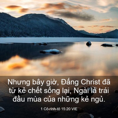 Picture 03 - 1 Cô-rinh-tô 15:20 VIE - Nhưng bây giờ, Đấng Christ đã từ kẻ - Bible Verse Picture