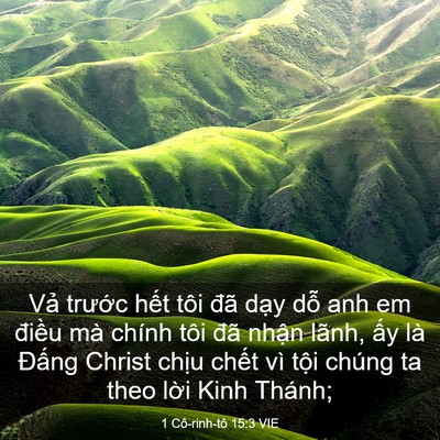 Picture 03 - 1 Cô-rinh-tô 15:3 VIE - Vả trước hết tôi đã dạy dỗ anh em - Bible Verse Picture