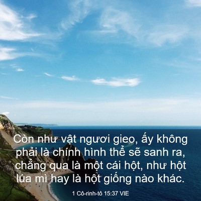Picture 03 - 1 Cô-rinh-tô 15:37 VIE - Còn như vật ngươi gieo, ấy không phải - Bible Verse Picture