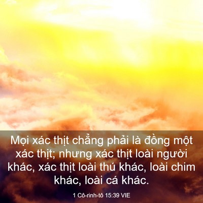 Picture 03 - 1 Cô-rinh-tô 15:39 VIE - Mọi xác thịt chẳng phải là đồng - Bible Verse Picture