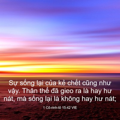 Picture 03 - 1 Cô-rinh-tô 15:42 VIE - Sự sống lại của kẻ chết cũng như - Bible Verse Picture