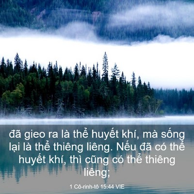 Picture 03 - 1 Cô-rinh-tô 15:44 VIE - đã gieo ra là thể huyết khí, mà sống - Bible Verse Picture