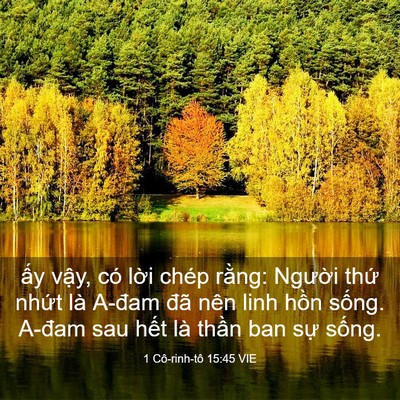 Picture 03 - 1 Cô-rinh-tô 15:45 VIE - ấy vậy, có lời chép rằng: Người - Bible Verse Picture