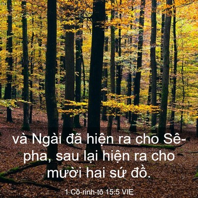 Picture 03 - 1 Cô-rinh-tô 15:5 VIE - và Ngài đã hiện ra cho Sê-pha, sau lại - Bible Verse Picture
