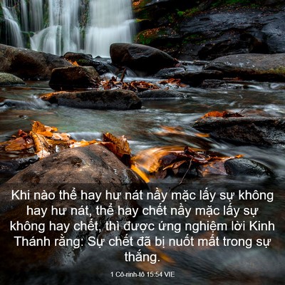 Picture 03 - 1 Cô-rinh-tô 15:54 VIE - Khi nào thể hay hư nát nầy mặc lấy - Bible Verse Picture