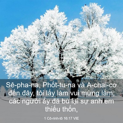 Picture 03 - 1 Cô-rinh-tô 16:17 VIE - Sê-pha-na, Phốt-tu-na và A-chai-cơ đến - Bible Verse Picture