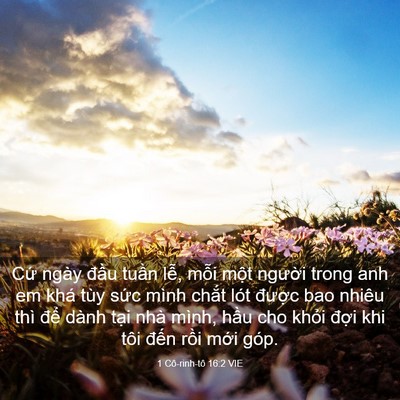 Picture 03 - 1 Cô-rinh-tô 16:2 VIE - Cứ ngày đầu tuần lễ, mỗi một - Bible Verse Picture
