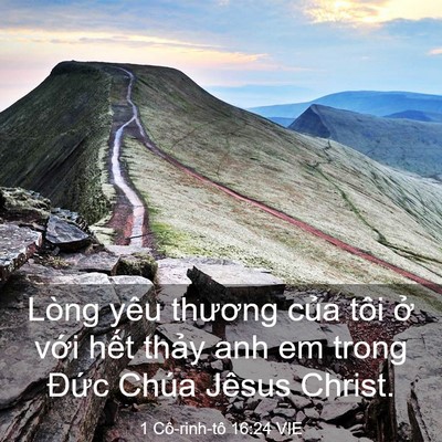 Picture 03 - 1 Cô-rinh-tô 16:24 VIE - Lòng yêu thương của tôi ở với hết - Bible Verse Picture