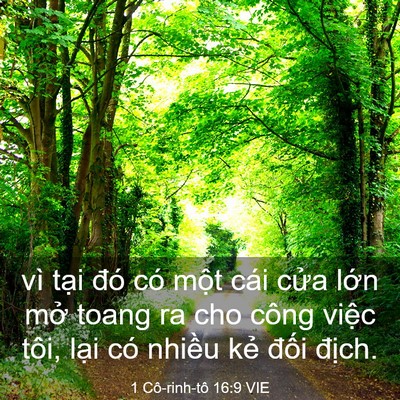 Picture 03 - 1 Cô-rinh-tô 16:9 VIE - vì tại đó có một cái cửa lớn mở - Bible Verse Picture