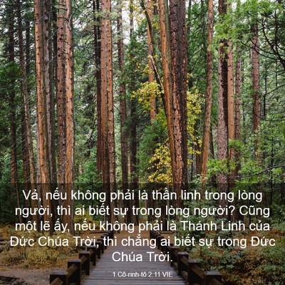 Picture 03 - 1 Cô-rinh-tô 2:11 VIE - Vả, nếu không phải là thần linh trong - Bible Verse Picture