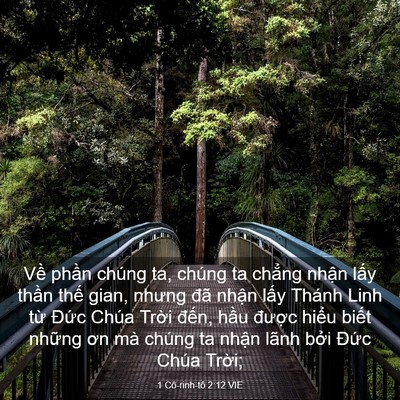 Picture 03 - 1 Cô-rinh-tô 2:12 VIE - Về phần chúng ta, chúng ta chẳng nhận - Bible Verse Picture