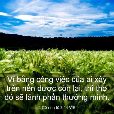 Picture 03 - 1 Cô-rinh-tô 3:14 VIE - Ví bằng công việc của ai xây trên nền - Bible Verse Picture