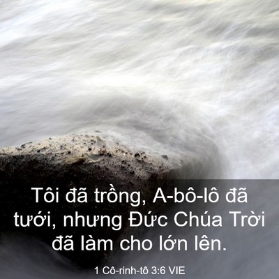 Picture 03 - 1 Cô-rinh-tô 3:6 VIE - Tôi đã trồng, A-bô-lô đã tưới, nhưng - Bible Verse Picture